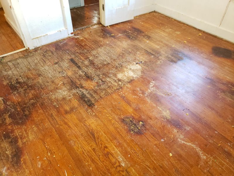 Damaged Subfloor