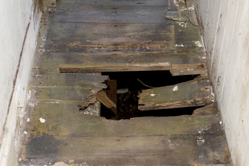 Damaged Subfloor Sections